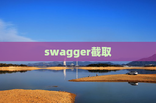 swagger截取